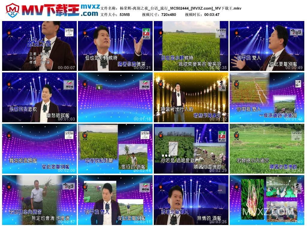 杨荣辉-离别之夜_台语_流行_MC502444